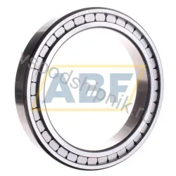 Цилиндрический роликовый подшипник однорядный SL182934-B-XL-C3 INA