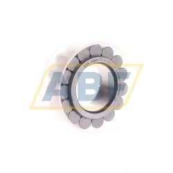 Цилиндрический роликовый подшипник однорядный RSL182207-A-XL INA