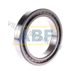 Цилиндрический роликовый подшипник однорядный SL182920-B-XL-C3 INA