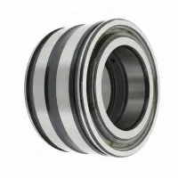 Цилиндрический роликовый подшипник SL045008-PP-2NR-C2 INA