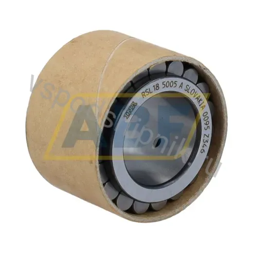Цилиндрический роликовый подшипник RSL185005-A INA