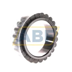 Цилиндрический роликовый подшипник однорядный RSL183017-A-3S INA