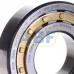 Цилиндрический роликовый подшипник однорядный NUP310-E-XL-M1 FAG