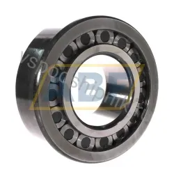 Цилиндрический роликовый подшипник однорядный SL192319-TB-XL-C3 INA