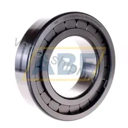 Цилиндрический роликовый подшипник однорядный SL182220-A-C3 INA