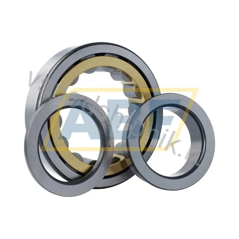 Цилиндрический роликовый подшипник однорядный NUP319-E-XL-M1-F1-C4 FAG 360