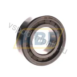 Цилиндрический роликовый подшипник однорядный SL182209-A-XL-2S INA