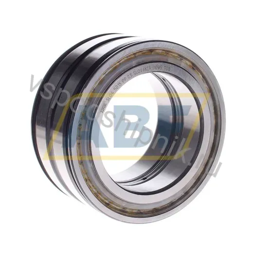 Цилиндрический роликовый подшипник SL045015-PP-C3 INA