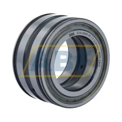 Цилиндрический роликовый подшипник SL045009-PP-C3 INA