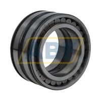 Цилиндрический роликовый подшипник SL045010-S3-C4 INA