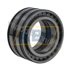 Цилиндрический роликовый подшипник SL045010-S3-C4 INA