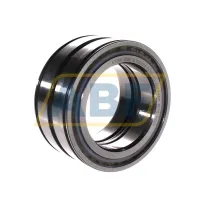 Цилиндрический роликовый подшипник SL045017-D-PP-C3 INA