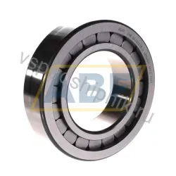 Цилиндрический роликовый подшипник однорядный SL182218-A INA