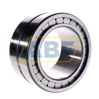 Цилиндрический роликовый подшипник SL185026-A-C3 INA