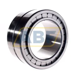 Цилиндрический роликовый подшипник SL185026-A-C3 INA