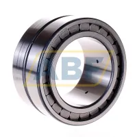 Цилиндрический роликовый подшипник SL185016-A INA