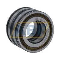 Цилиндрический роликовый подшипник SL045005-PP-C3 INA