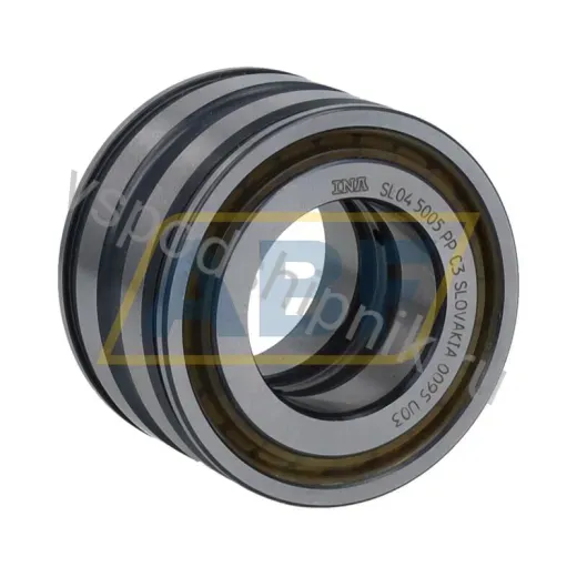Цилиндрический роликовый подшипник SL045005-PP-C3 INA