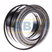 Цилиндрический роликовый подшипник SL045022-D-PP-2WR INA