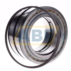 Цилиндрический роликовый подшипник SL045022-D-PP-2WR INA