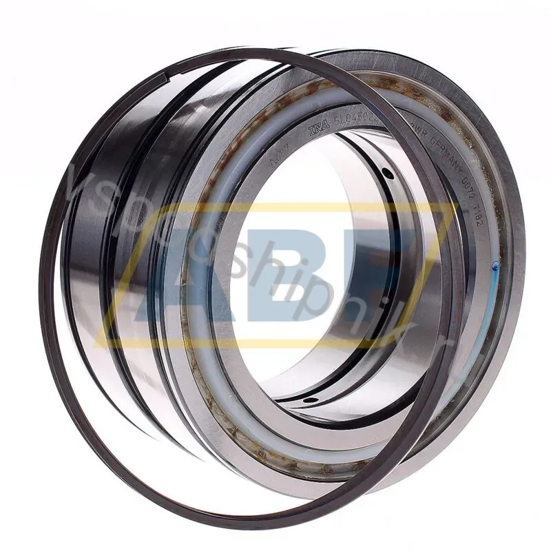 Цилиндрический роликовый подшипник SL045022-D-PP-2WR INA 360