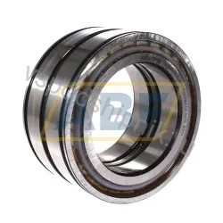 Цилиндрический роликовый подшипник SL045018-D-PP-C3 INA