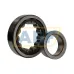 Цилиндрический роликовый подшипник NJ NJ314ECP/C3 SKF