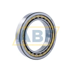 Цилиндрический роликовый подшипник NU NU1020M/C3 SKF