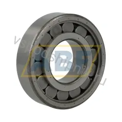 Цилиндрический роликовый подшипник однорядный 440168 SKF