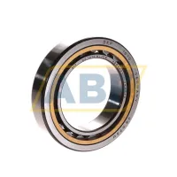 Цилиндрический роликовый подшипник NU NU1010ML/C3 SKF