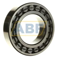 Роликовый подшипник C2218 SKF