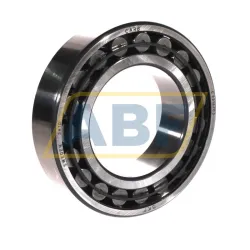 Роликовый подшипник C2216/C3 SKF