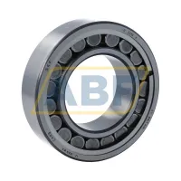 Роликовый подшипник C2213V SKF