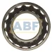 Роликовый подшипник C2213TN9 SKF