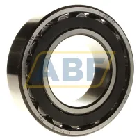 Роликовый подшипник C2213TN9 SKF