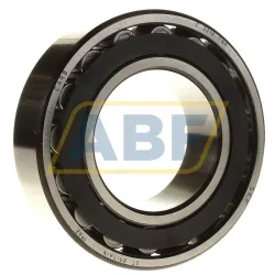 Роликовый подшипник C2213TN9 SKF
