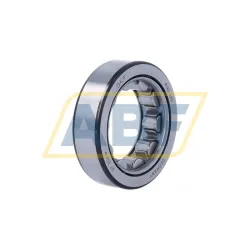 Цилиндрический роликовый подшипник RNU305 SKF