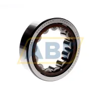 Цилиндрический роликовый подшипник RNU309ECP SKF