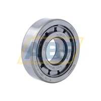 Цилиндрический роликовый подшипник NJ NJ305ECJ SKF