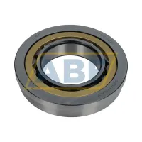 Цилиндрический роликовый подшипник однорядный 315070B SKF