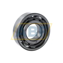 Цилиндрический роликовый подшипник N N307 SKF