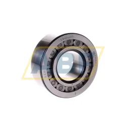 Цилиндрический роликовый подшипник NJG2309VH/C3VB158 SKF