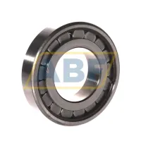 Цилиндрический роликовый подшипник однорядный 440197 /C3 SKF