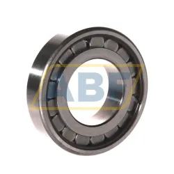 Цилиндрический роликовый подшипник однорядный 440197 /C3 SKF