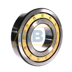 Цилиндрический роликовый подшипник NJ NJ320ECM/C4VA301 SKF