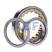 Цилиндрический роликовый подшипник NUP NUP215ECM/C3 SKF