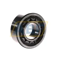 Цилиндрический роликовый подшипник NU NU2311ECP/C3 SKF