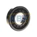 Цилиндрический роликовый подшипник NJ NJ312ECP SKF