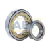 Цилиндрический роликовый подшипник NJ NJ314ECM/C4VA301 SKF