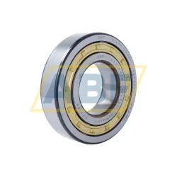 Цилиндрический роликовый подшипник NJ NJ314ECM/C4VA301 SKF